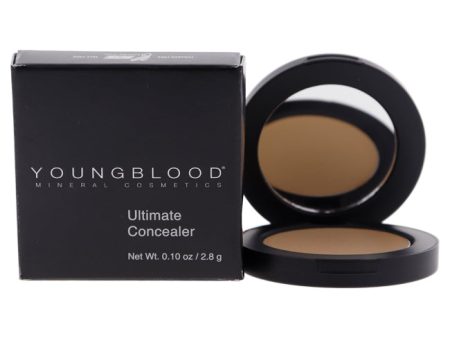 Youngblood Ultimate Concealer - Medium Warm by Youngblood for Women - 0.1 oz Concealer Discount