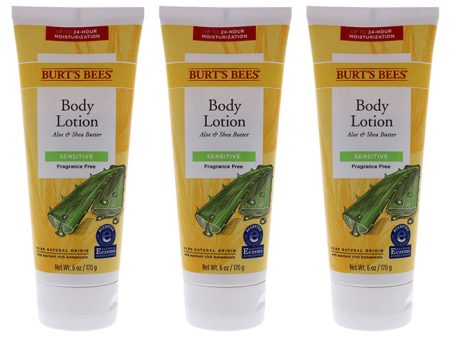 Burts Bees Aloe and Shea Butter Body Lotion by Burts Bees for Unisex - 6 oz Body Lotion - Pack of 3 Online Hot Sale